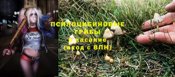 МДМА Бородино