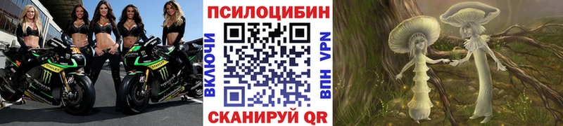 Галлюциногенные грибы GOLDEN TEACHER  omg рабочий сайт  Новосокольники 